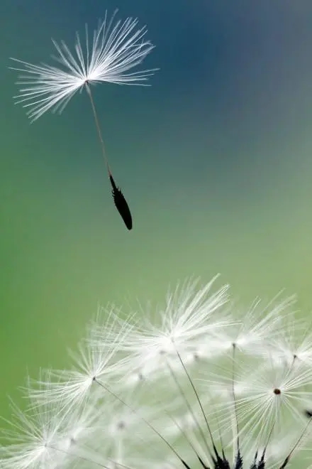 什么是虚拟运营商手机号码